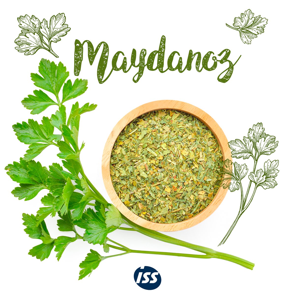 issturkiye's tweet photo. #evdekalırken yediklerimize dikkat edelim. Sağlıklı besinler tercih edelim. Maydanoz yaprakları A, C ve K vitamini bakımından zengindir. Tek başına ya da salatalarda ve çorbalarda tüketilebilir.
#issturkey #evdekal #issbahçebakım #maydanoz # #vitamin https://t.co/EMV0zYplGn