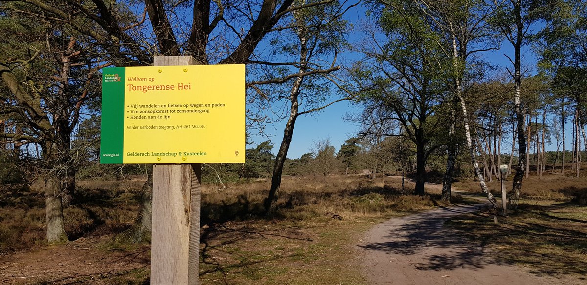 Prachtige plek om een bankje te plaatsen. De bank wordt geschonken door een vaste bezoeker, dankjewel daarvoor #TongerenseHeide