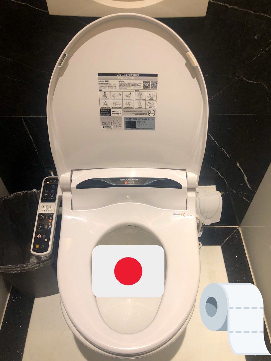  #PretendJapan day 6...A Japanese toilet   (in Xi’an, China  ) This provided my weird hoomans with hours of entertainment!