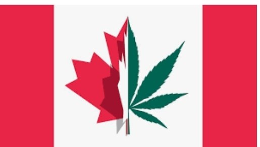 Happy 4-20 2020! Weed are a joint effort and look forward to growing our partnerships together. 
<a href="/TweedInc/">Tweed</a> <a href="/tokyo_smoke/">Tokyo Smoke</a> <a href="/fireandflowerco/">Fire & Flower</a> <a href="/La_SQDC/">La_SQDC</a> <a href="/CanopyGrowth/">Canopy Growth</a>