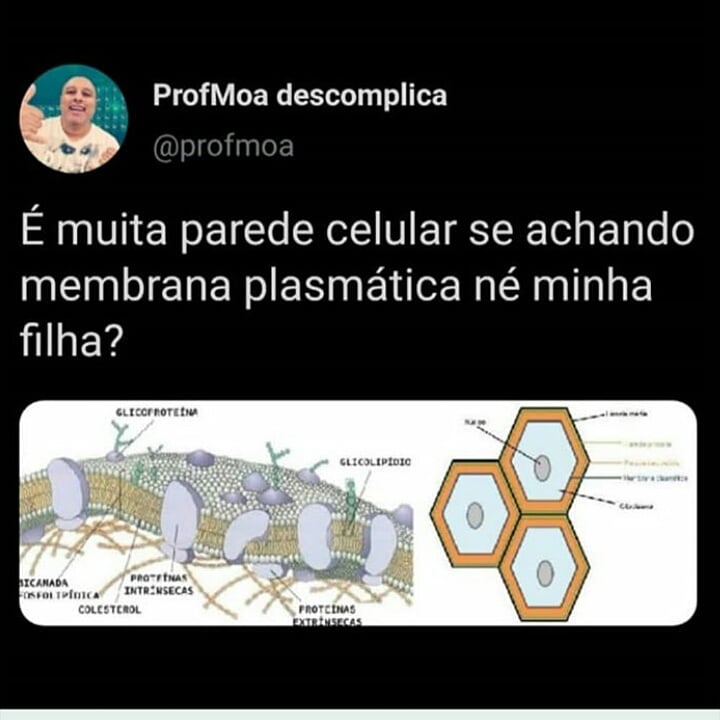 Javertty's tweet image. Rai ai 😁