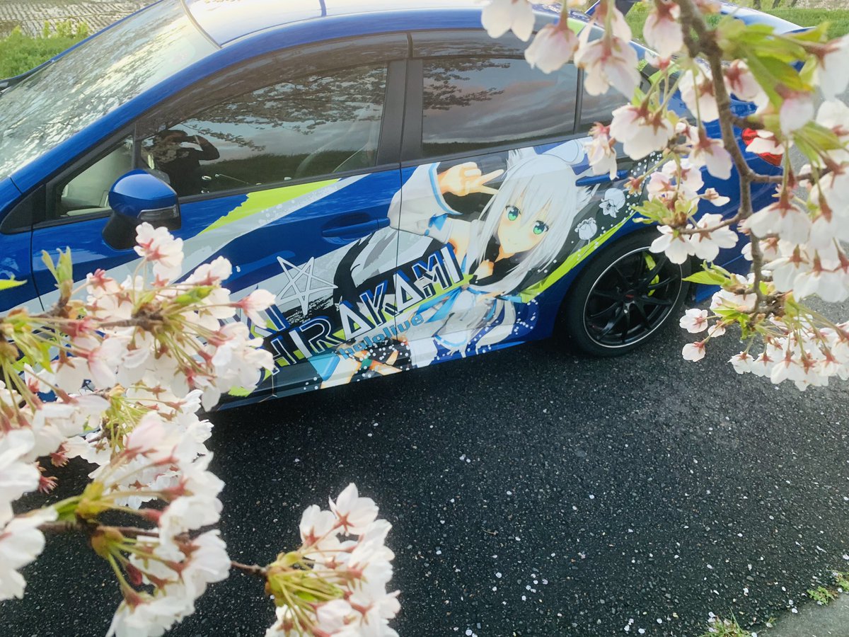 Amazon.co.jp: Dawowan(43cm)ステッカー 白上フブキ 夏色まつり痛車 ステッカー かわいい車のドア 装飾 防水ステッカー  (Y) : 車＆バイク