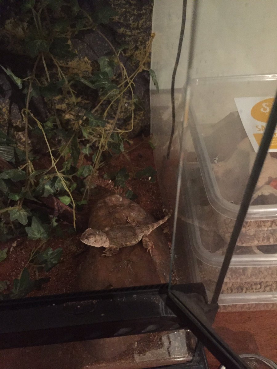 Jarrad Cock tweet media