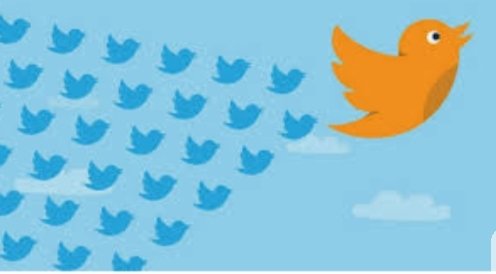 ariel STRABONI tweet media