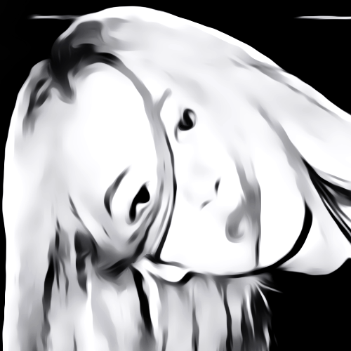 𓈒 finkku 🐰 𓈒 tweet media