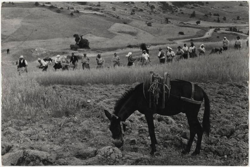 FarellaLuigi's tweet photo. Franco Pinna - Il Fotografo Sardo che racconto' la Basilicata attraverso la macchina Fotografica - p.3-  #francopinna #basilicata #anni50 #fotografo #pellicola #film #passione #italia #lucania #regionebasilicata #terranostra https://t.co/gAuMi2zEZU