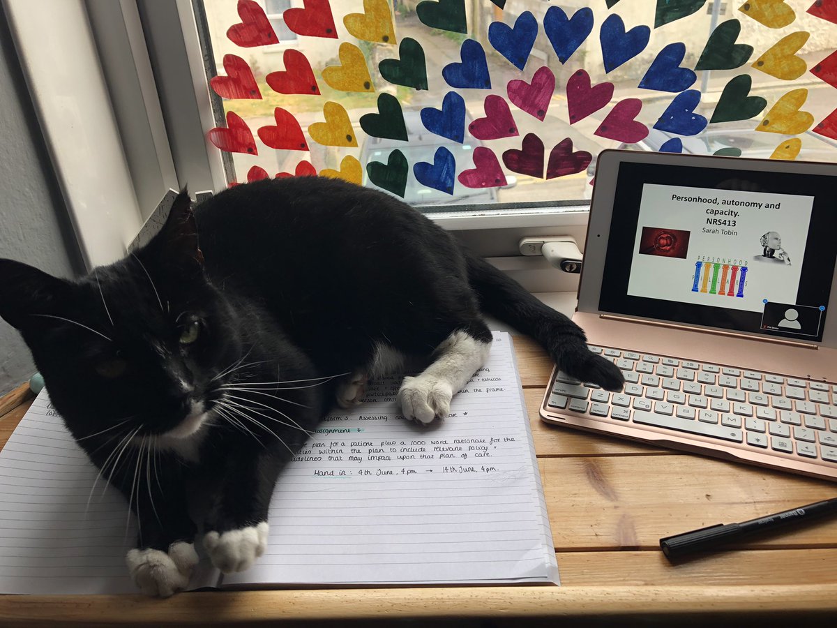 abiPUNC19's tweet photo. Starting #NRS413 today with a little company ! Looking forward to starting it and learning about planning nursing care ☺️ #punc19 https://t.co/6Phb8Dn6hf