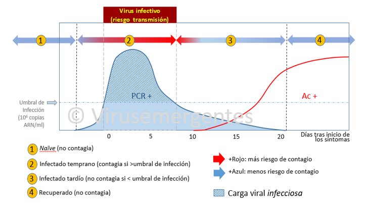 hebusto's tweet photo. Estas dos gráficas resumen la necesidad y utilidad de dar datos de PCR positivo y anticuerpos positivo sintomático por un lado y por otro test de anticuerpos positivos asintomáticos. Y si hubiera datos de IgM e IgG por separado aun mejor. https://t.co/VtdxHzeKaN