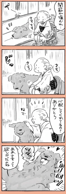 姫ばあちゃんとナイト(その7) #創作漫画

今日は寒い雨でした☔️ 