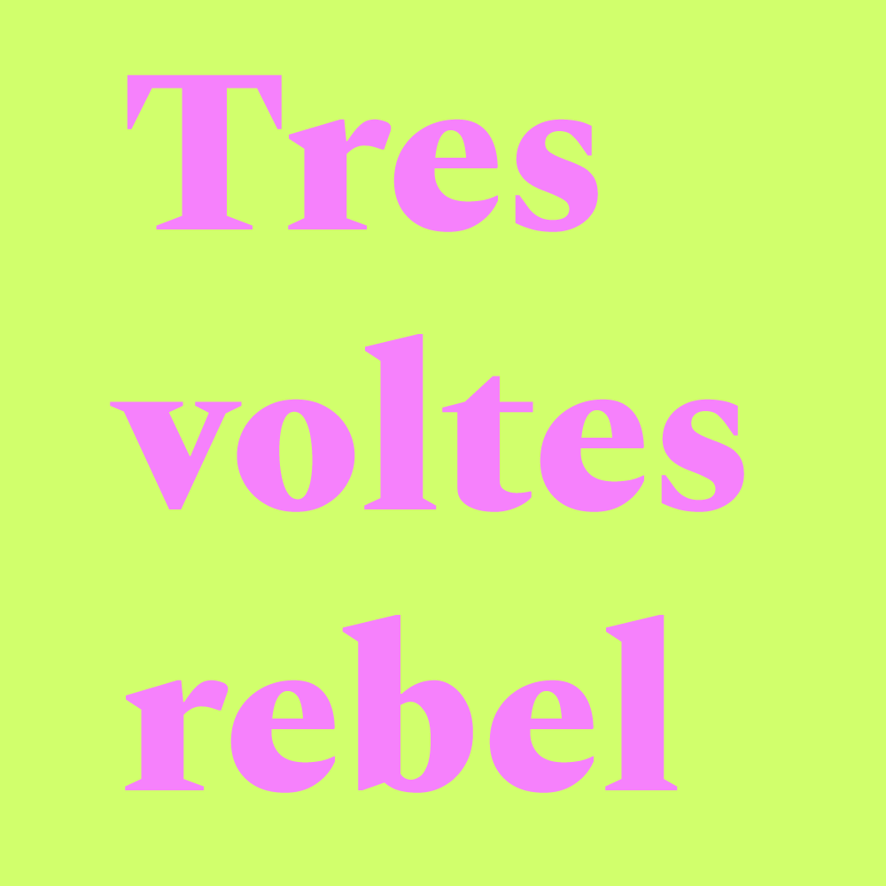DIVISA (1977)

«A l'atzar agraeixo tres dons:
haver nascut dona,
de classe baixa i nació oprimida.
I el tèrbol atzur de ser tres voltes rebel».

— Maria-Mercè Marçal