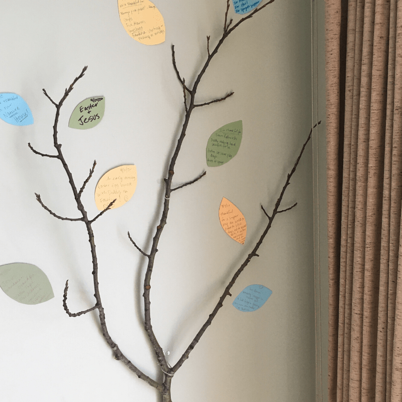 upnorthparent's tweet photo. Easy Gratitude Tree Idea for Kids | How to Make a Thankful Tree https://t.co/9i0v4b7knm https://t.co/VtSuSq3yKM