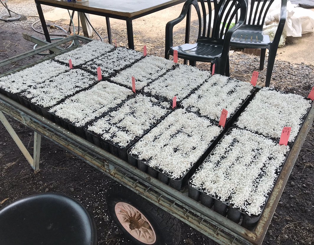 1. Propagation