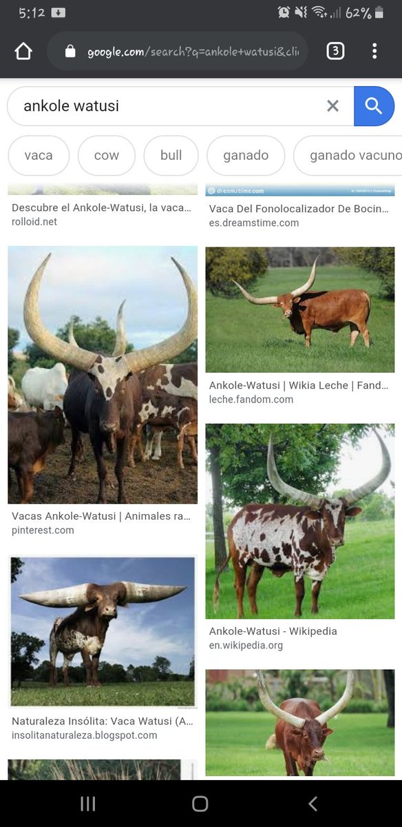 OnlyBestDrazen's tweet image. Encontre al que lee esto