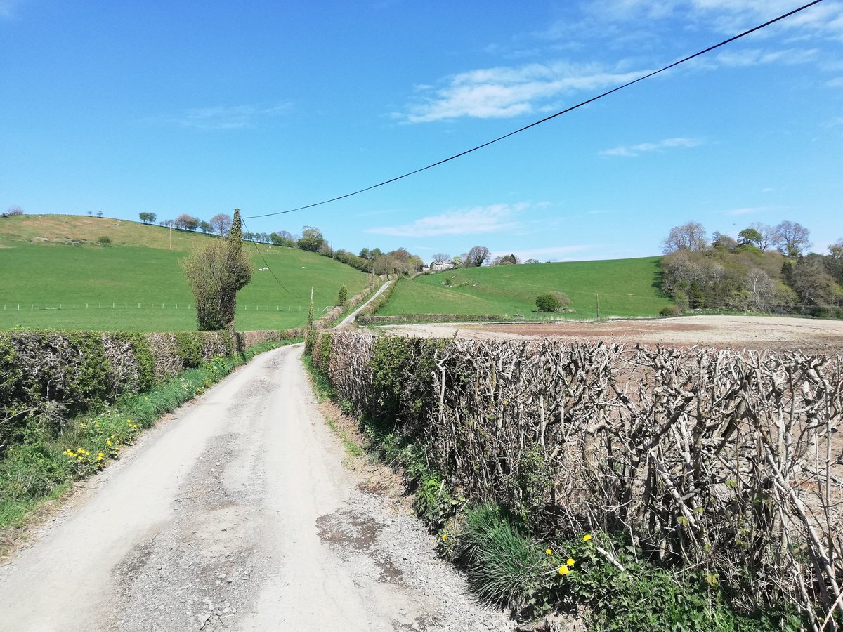 llangariad's tweet photo. Amazing weather for a loooong walk yesterday to #Sycharth birthplace of #OwainGlyndwr 🏴󠁧󠁢󠁷󠁬󠁳󠁿
28,000 steps and a decent tan to show for it.
#Wales #Cymru #DailyExercise https://t.co/oO2rSFi2vM