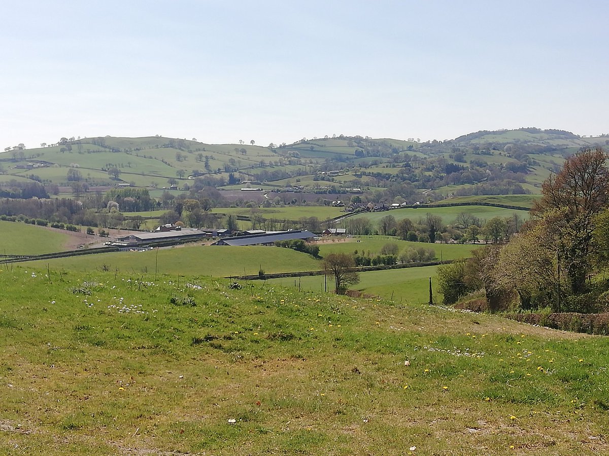 llangariad's tweet photo. Amazing weather for a loooong walk yesterday to #Sycharth birthplace of #OwainGlyndwr 🏴󠁧󠁢󠁷󠁬󠁳󠁿
28,000 steps and a decent tan to show for it.
#Wales #Cymru #DailyExercise https://t.co/oO2rSFi2vM