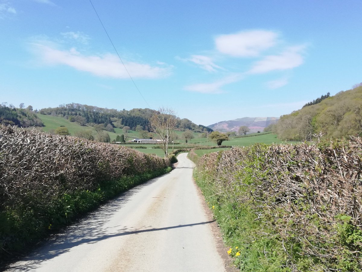 llangariad's tweet photo. Amazing weather for a loooong walk yesterday to #Sycharth birthplace of #OwainGlyndwr 🏴󠁧󠁢󠁷󠁬󠁳󠁿
28,000 steps and a decent tan to show for it.
#Wales #Cymru #DailyExercise https://t.co/oO2rSFi2vM
