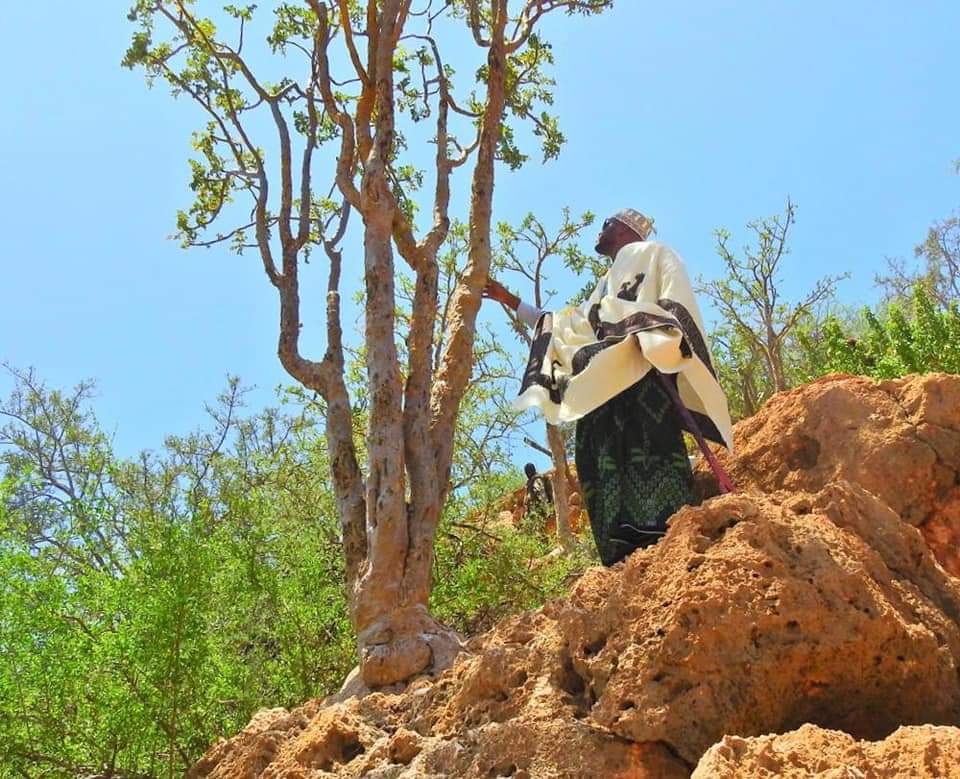 SaidRubani's tweet photo. Somali culture 2/2
Frankincense #Beeyo @HajiraWarsame Somali beauty. https://t.co/VAn7xGMSxn