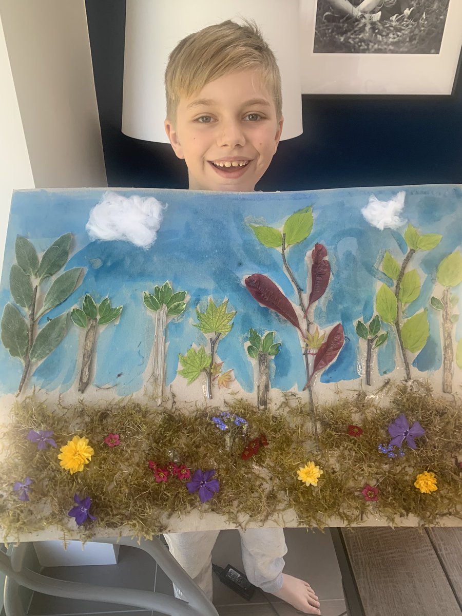 anzwilko's tweet photo. @menstonprimary Taylor’s real life garden made with materials from our garden....Alder Class https://t.co/v8f0onY6HR