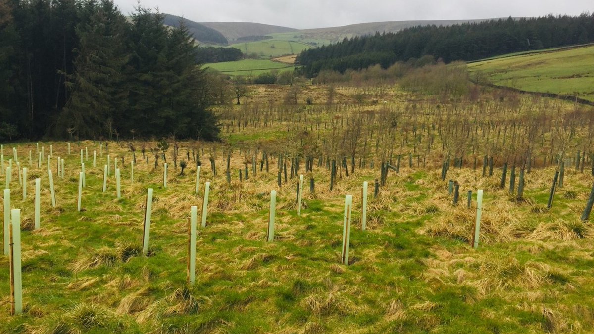 Burnley FC in the Community tweet media