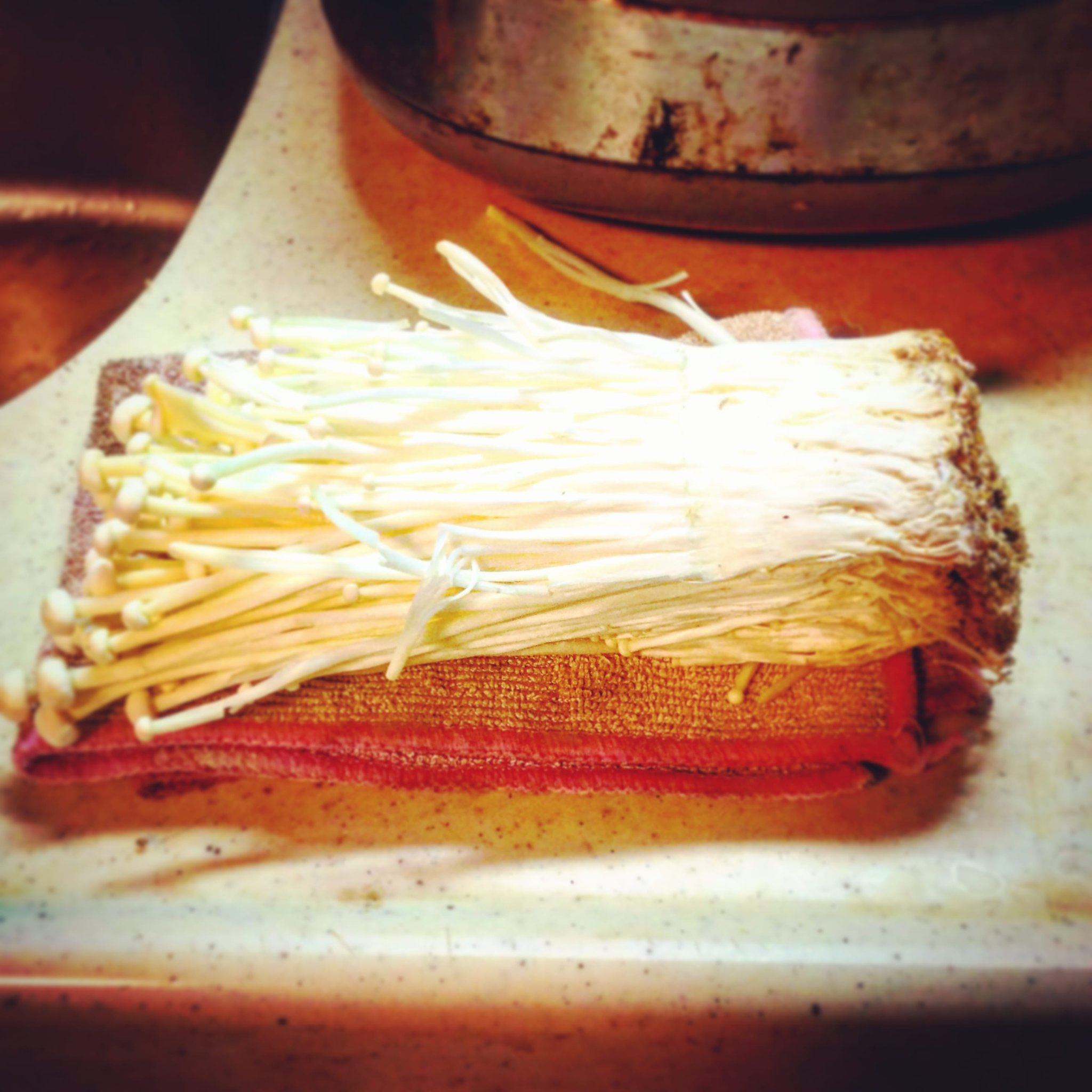 台布巾 Twitter Search Twitter