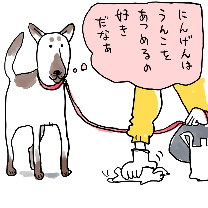 散歩中に落とし物を処理する人間の姿を見つめる犬の思考は…？人間はうんこをあつめるが好きなんだwww