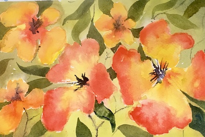 MargaretCoxall's tweet image. My new video "Easy Watercolour Flower Painting" now on YouTube.  Love the ways watercolour can show the beautiful fragility of flowers. youtu.be/rrXYS3EBu-4