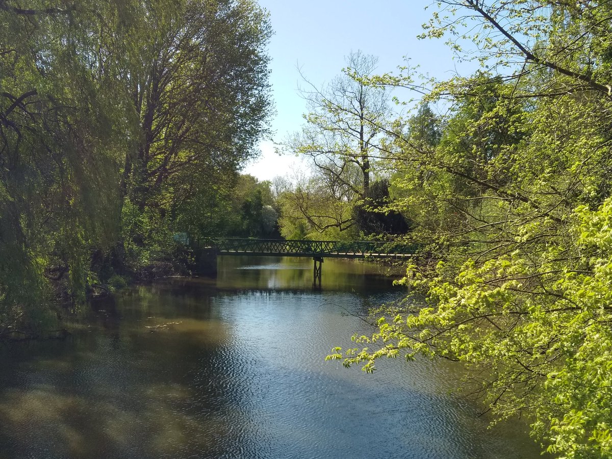 rivieractief's tweet photo. Linge #thedingsweert #kerkavezaath @Lingestreek #struingids #brug @UitInTiel #rivierenland #nederlandsewateren #linge https://t.co/WIaSuEmSb8