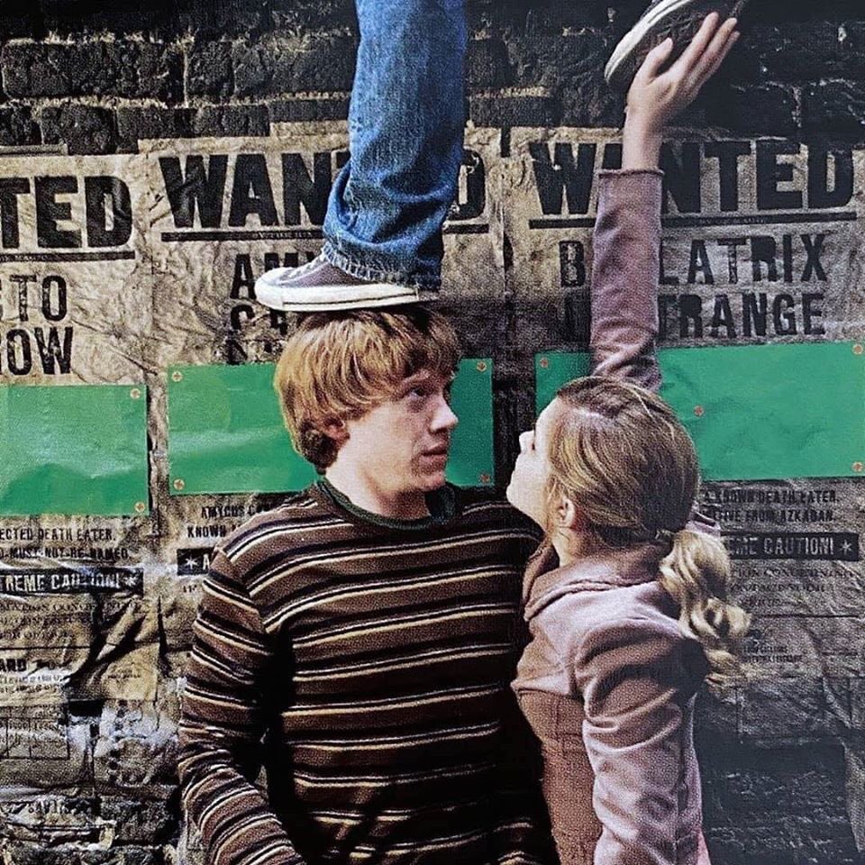 Harry Potterโขโโโค โฏ อ tweet media