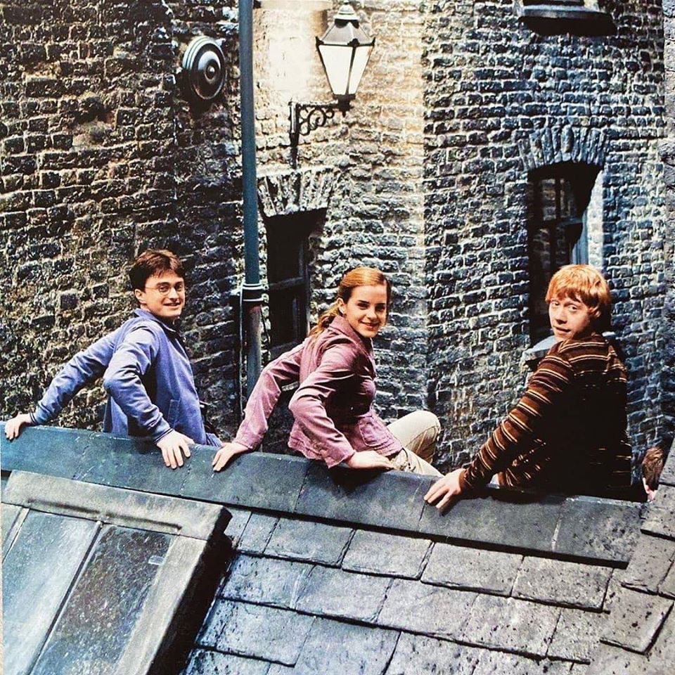 Harry Potterโขโโโค โฏ อ tweet media