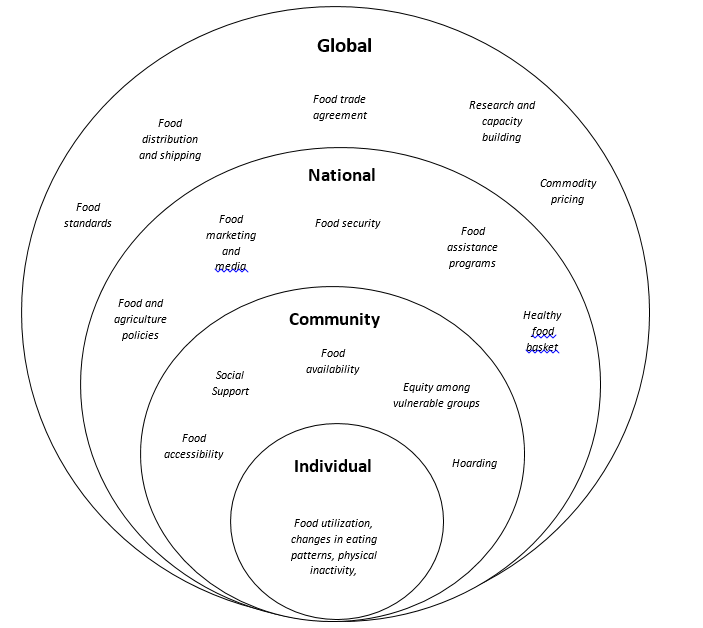Dr_FarahNaja's tweet photo. During the #Covid_19, every health aspect became a precious resource. Optimal Nutrition is NO exception. Our recent perspective in EJCN: A multi-level framework of action. https://t.co/Z38xzyG2gR 
 @ejcneditor @AUB_FAFS @AUB_Lebanon https://t.co/6S49ToxijR