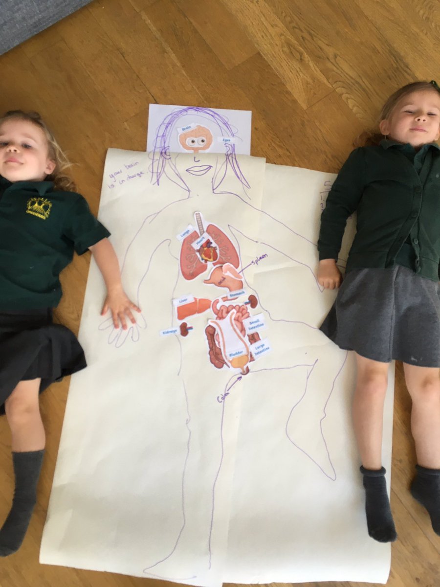 This morning we have been learning about our bodies! <a href="/vwrightteach/">Miss Wright</a> <a href="/GreenwaysPri/">Greenways Primary</a>