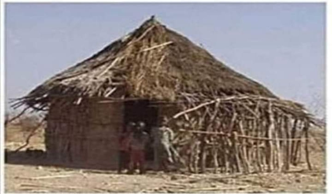 slovenskipanter's tweet photo. Torej imamo prvo sliko
Afrika pred 100 leti. 
In drugo sliko
Afrika, potem ko smo zmetali preko 900 milijard €  pomoči. https://t.co/BQEbDJkyD6