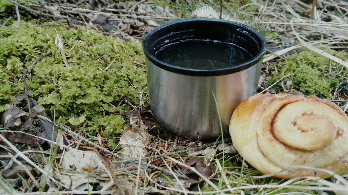 Koneen ääreltä maastoon uhanalaisen lähteikköjen lajin, harsosammalen, esiintymää tarkistamaan. Sen löytäminen on aina ilo, tänään juhlistin tapausta teellä ja korvapuustilla. Mättäällä hiljaa istuessa sain kuunnella myös upeaa lintukonserttia. #uhanalaisetlajit