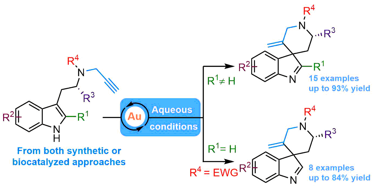 XavGuinchard's tweet photo. Want to know about the chemistry we develop @ICSN_lab about gold-catalyzed cyclizations in aqueous media? Our first paper on @ChemRxiv is online! Congrats to Nazarii and Feryel and many thanks to #charmmmat labex for funding https://t.co/Cwk19TB6LB https://t.co/WDMytvcvNw