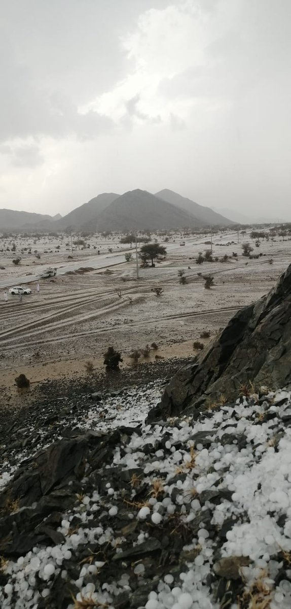 أخبار وادي ريم A Twitter تابع امطار الدوداء ب وادي ريم جنوب غرب المدينة المنورة