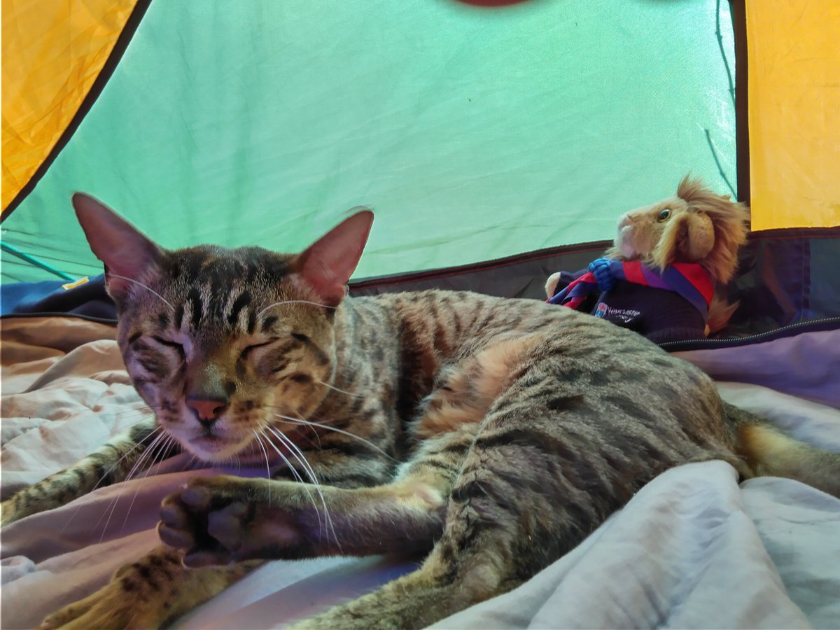 So unfortunately I had to sleep indoors for a couple of nights, but I was back in the tent last night! Picking up from where I left off, yesterday was day 17.