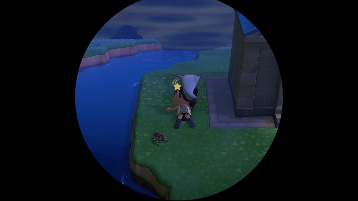 slou20's tweet photo. how quarantine is going... #AnimalCrossing #ACNH #NintendoSwitch https://t.co/ZV20m3tyGC