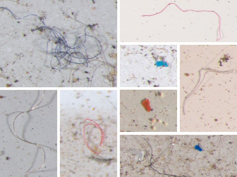“We’ve been collecting snow in places like Whitehorse, Alert and Eureka as well as in Southern Ontario and we’ve found microplastics in all our snow samples, often in microfibre form,” ~ Liisa Jantunen  buff.ly/3ehtSTS