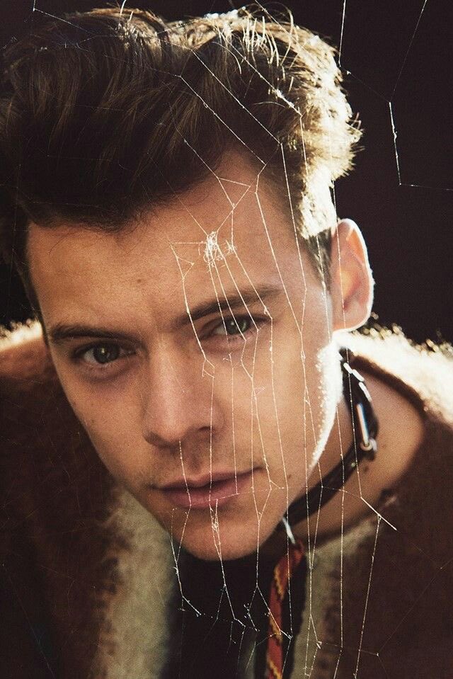 Harry Styles for Another Man magazine: a thread