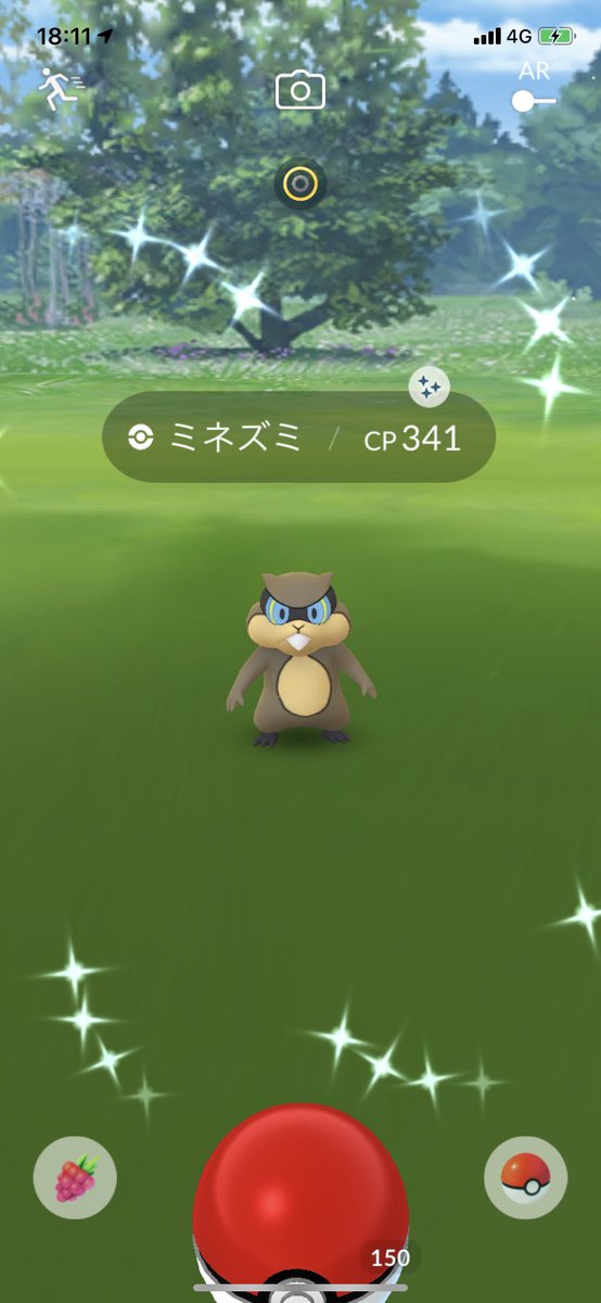 ポラリス A Twitter ポケモンgo 色違いミネズミ出ました 2匹目なのでミルホッグに進化させました ポケモンgo ミネズミ ミルホッグ 色違い T Co Egdxiksmpa Twitter