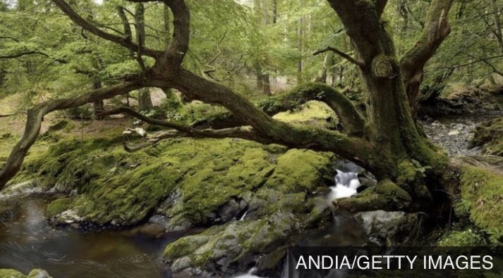 Should recycling centres here be re-opening to try to counter the growing problem of fly-tipping? And should we have a single policy here for whether or not council-run parks and cemeteries remain open?
