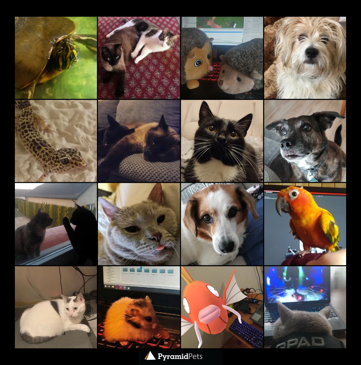 PyramidLab's tweet photo. Meet our cute #colleagues! 🐾

#HomeOffice #gamedev #petsoftwitter #quarantinepets https://t.co/TmIiB7Rf7J