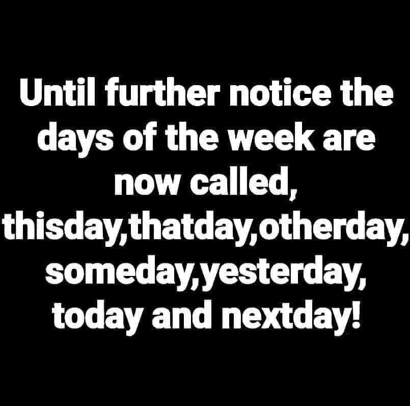 jodi_lynne204's tweet photo. It’s been a perpetual Groundhog Day and I have to keep reminding myself what day it is. Until now... https://t.co/P0DmeZFROz