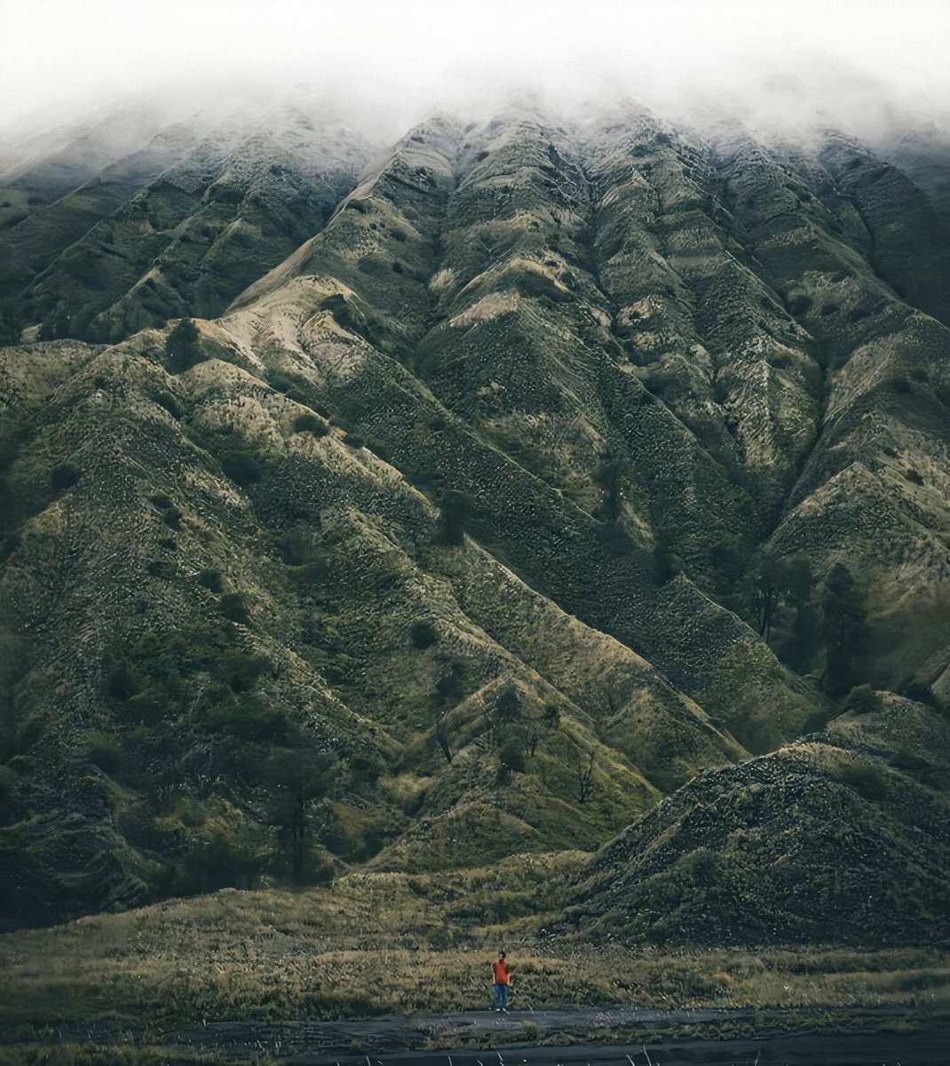 Tidak ingin debat, tapi suara ombak pantai emang bikin tenang banget.