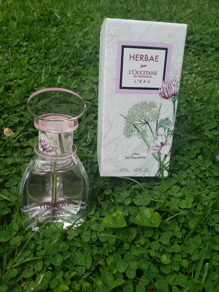 kate_kmc's tweet image. Happy Monday indeed. Just tried the new Herbae L&apos;eau de Toilette @loccitaneusa It is amazing! The scent is spectacular (my hubby loves it too) and the bottle is adorbs. #Perfume erfume #ScentoftheDay