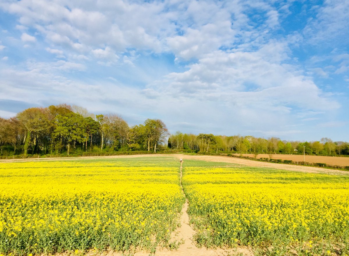 BoydMcCleary's tweet photo. Great walking weather. β¦@CPRE_Hampshireβ© #countryside #bentworth https://t.co/yEfKpdQdp5