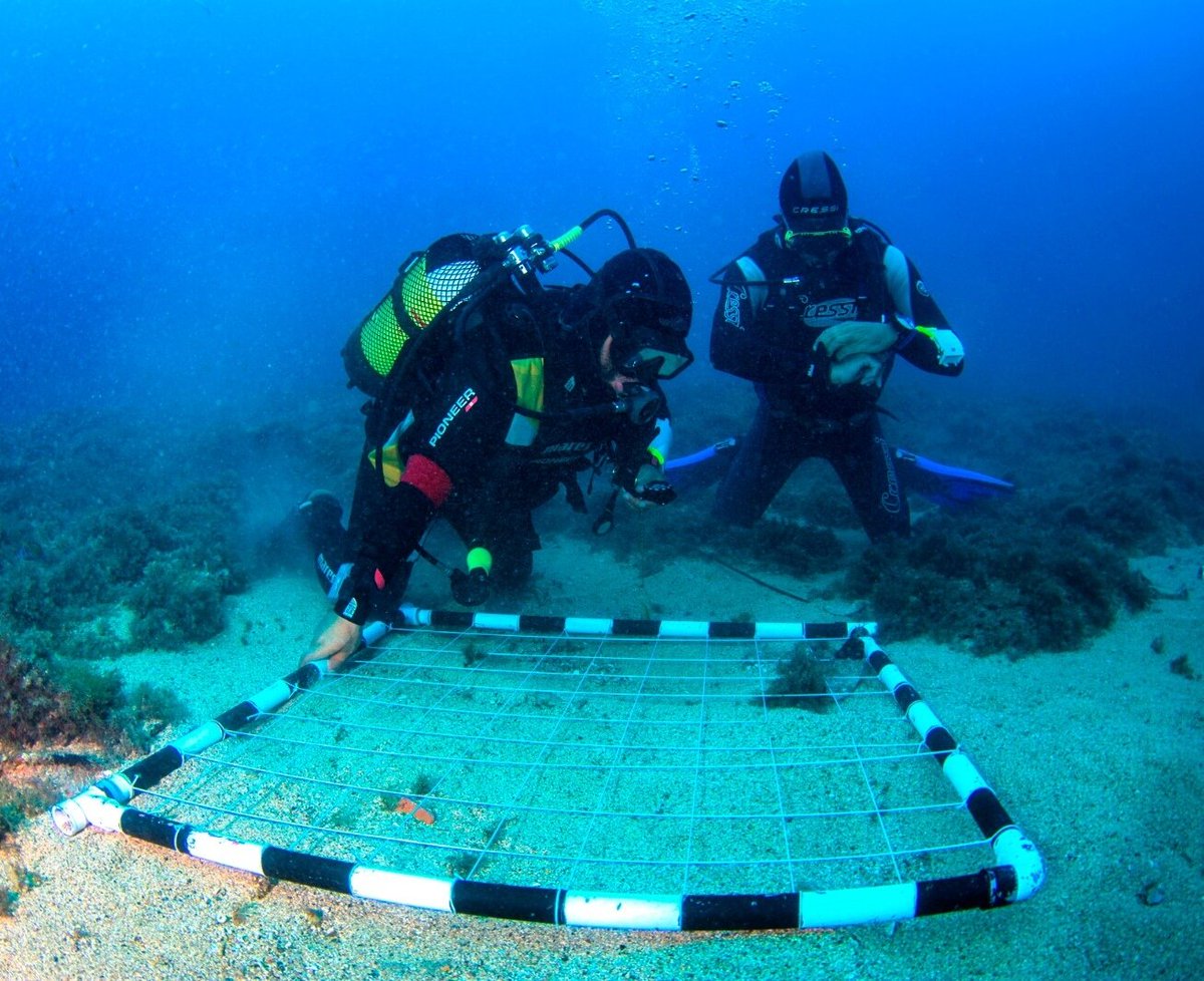 TibicenaA's tweet photo. Algunos proyectos están congelados hasta el fin del #confinamiento. Otros como #Margullar, de #arqueologíasubacuática🇵🇹🇮🇨🐠, se cerraron prematuramente por la crisis del #COVIDー19. Deseando volver a trabajar en cualquier medio.
#QuedateEnCasa #YoMeQuedoEnCasa https://t.co/TLO4RrAo2X