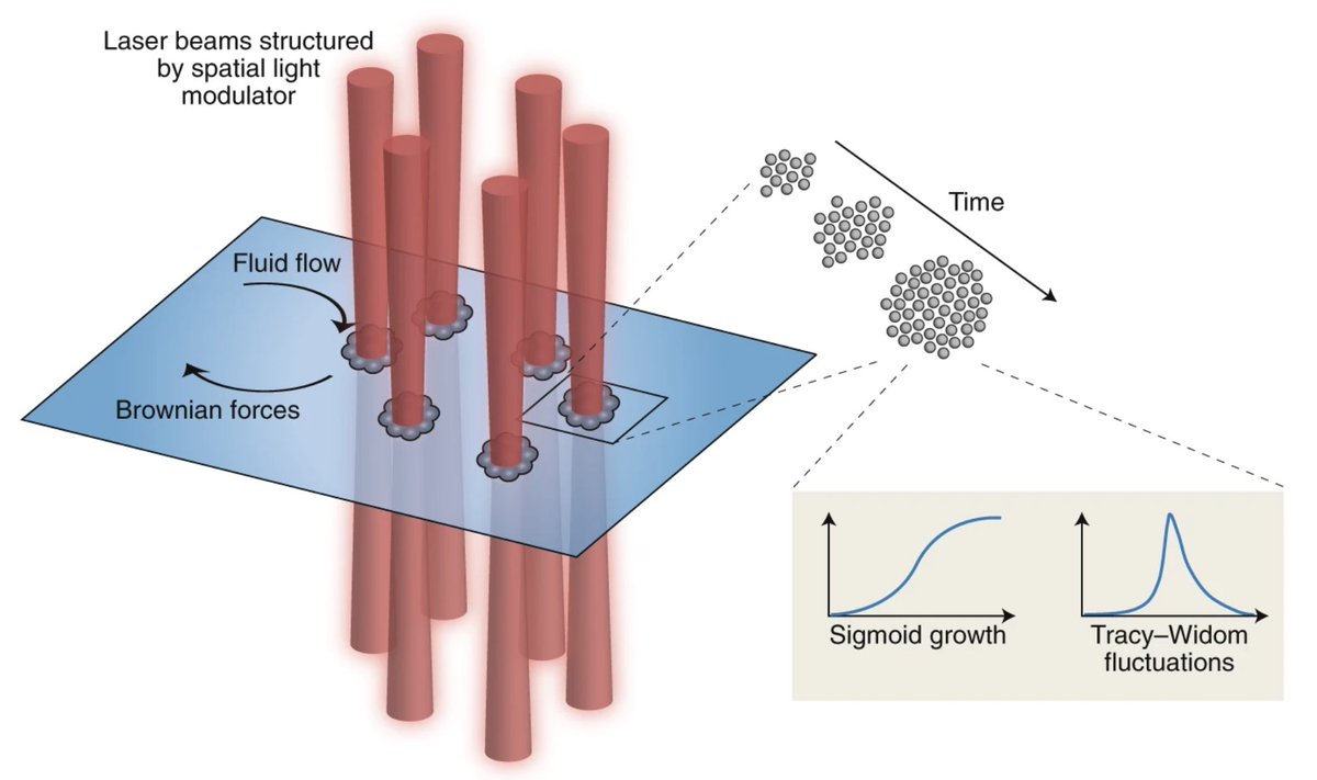 GiliBisker's tweet photo. Read my latest News and Views on Nonequilibrium Self-Assembly, published with @SpringerNature in @NaturePhysics.
https://t.co/HIarniICSl https://t.co/KsBkQeyJ9m