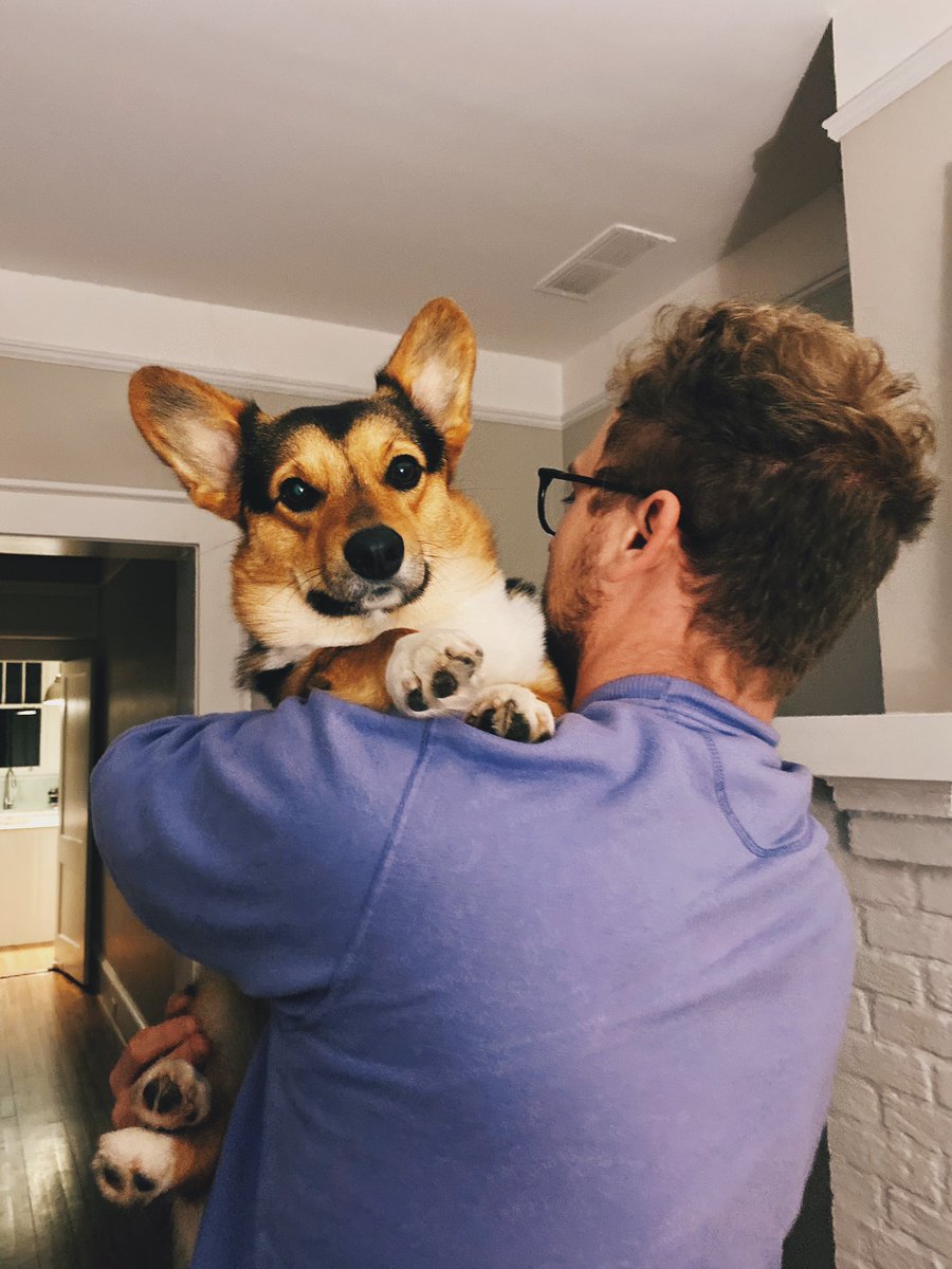 The younger one is head of HR. His main duties include keeping track of the complaints we lodge against one another and barking at potential intruders. Right now he’s busy sorting out whose turn it is to unload the dishwasher.