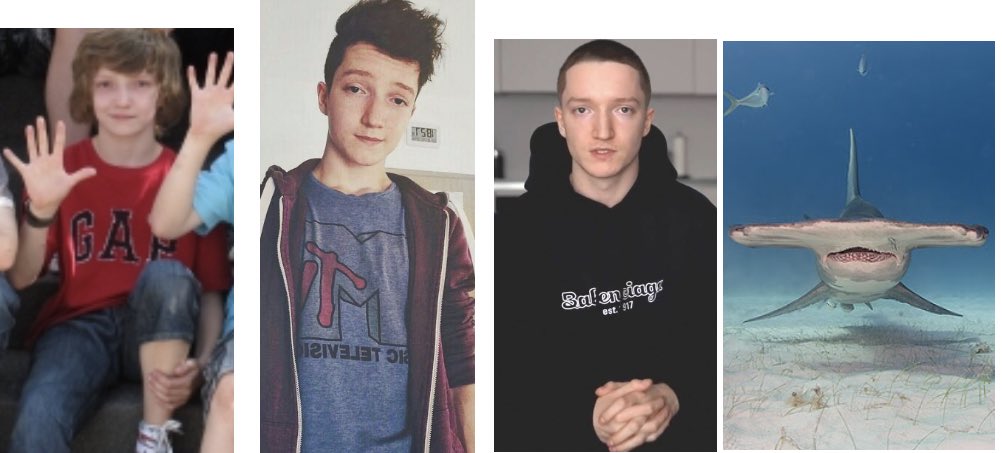 mokoffiziell's tweet photo. meine 4 moods https://t.co/hXgoZFKYb2